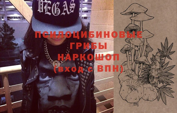 ГАЛЛЮЦИНОГЕННЫЕ ГРИБЫ Богородск