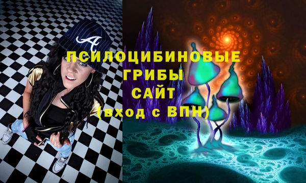 амфетамин Богородицк