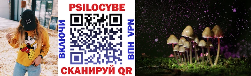 Галлюциногенные грибы Psilocybine cubensis где купить Свободный